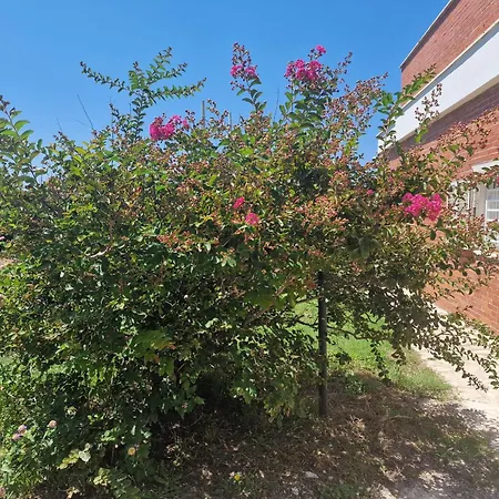 Seaside Prázdninový dům