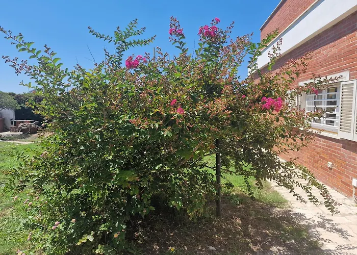 Seaside Hébergement de vacances