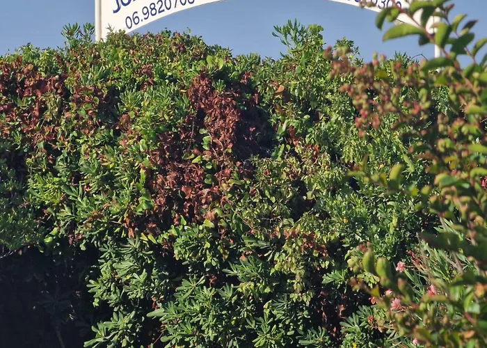 Hébergement de vacances Seaside